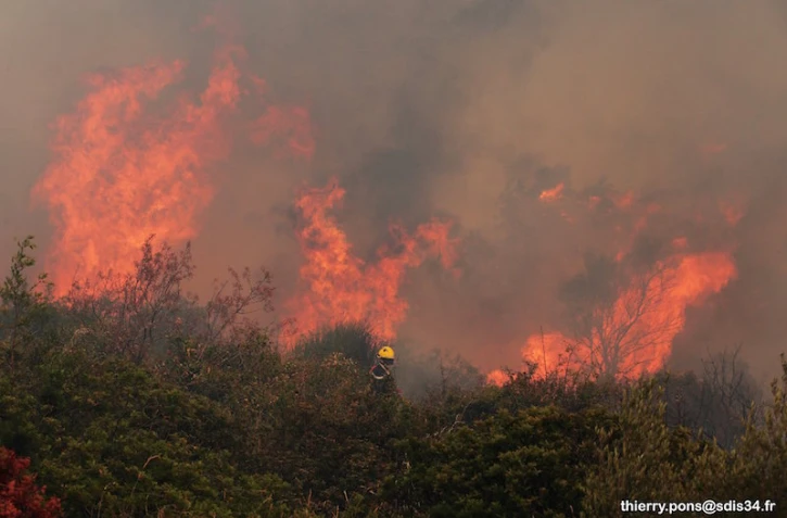 Incendies dans le Sud de la France (34)