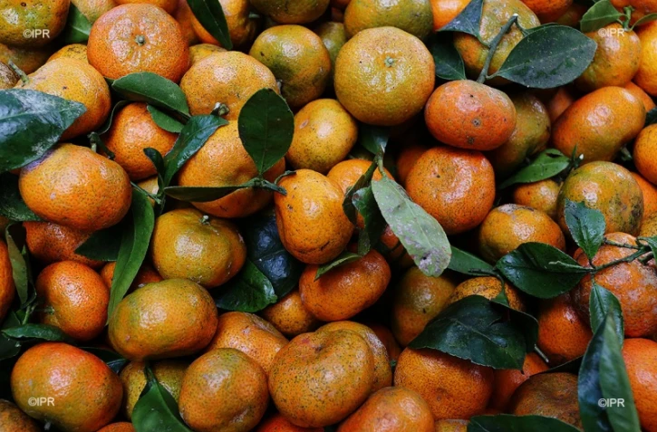 Fruits et légumes