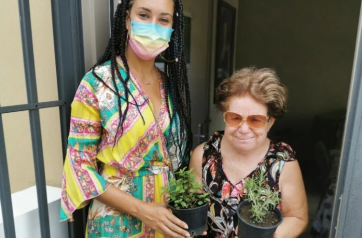 Distribution plantes aromatiques