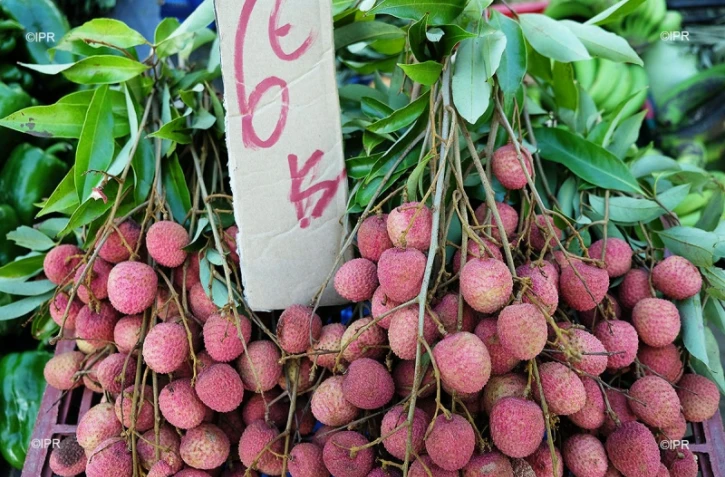 Fruits de saison 