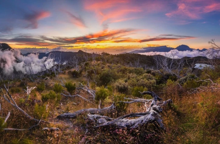 Gilles Taochy photos téléphone au réflex