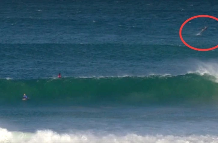 J-Bay interrompu par des squales