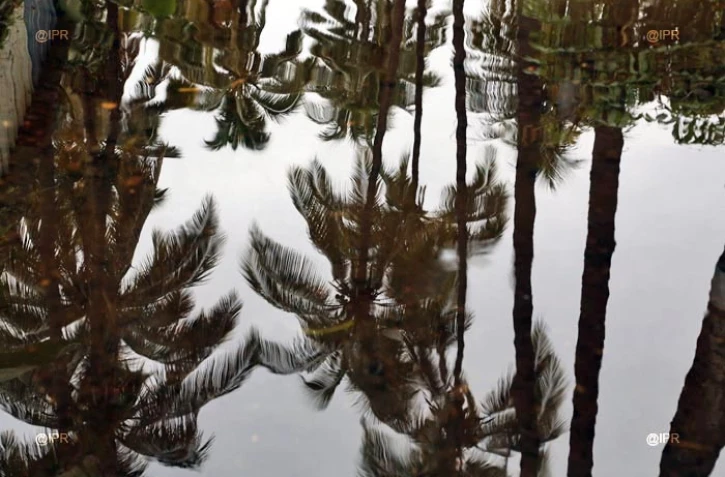 Fortes pluies