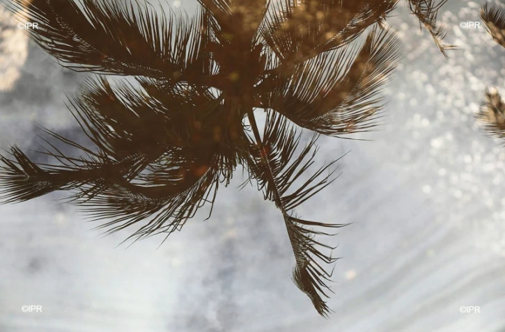 météo réunion 