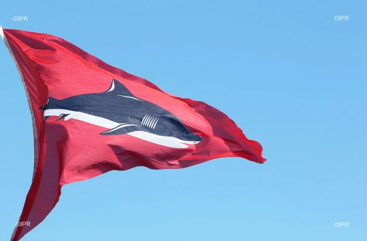 drapeau requin