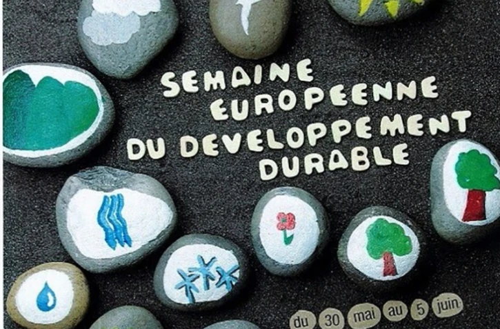 SEDD