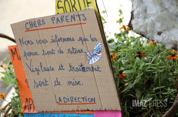 problème poux à l'école 