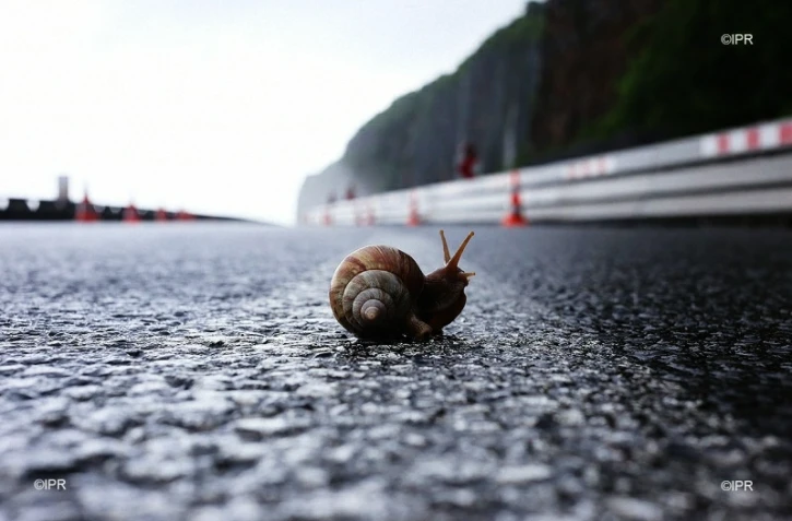 Eboulis route du littoral 