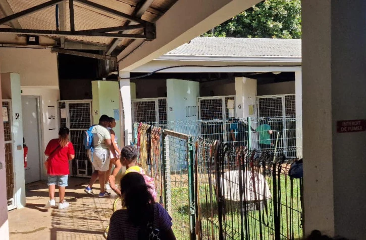 Trois classes de Sainte-Suzanne en visite au centre animalier de la SPA