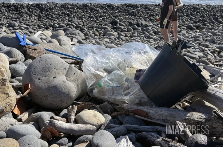 Sainte-Marie : plus d'une cinquantaine de bénévoles mobilisés pour nettoyer le littoral