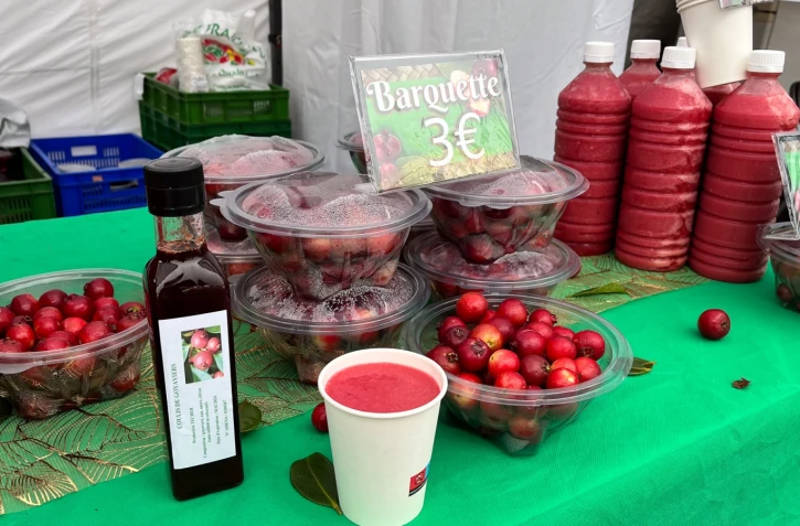 Fête des goyaviers