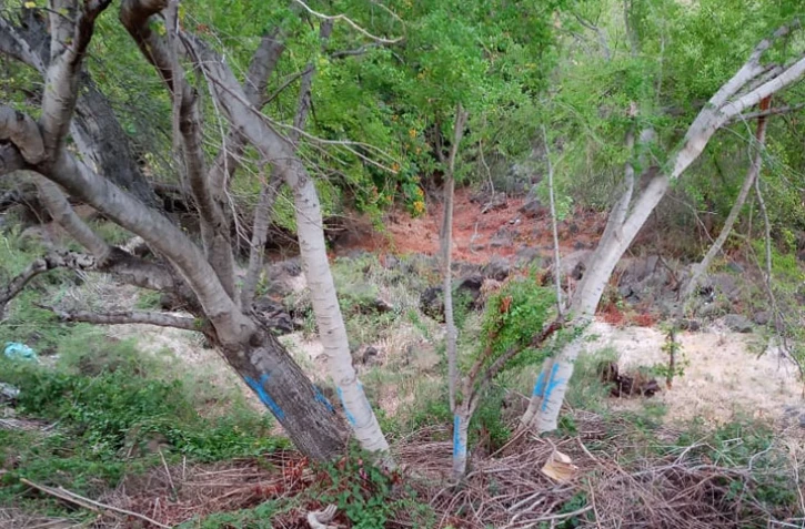 chemin casabona saint-pierre