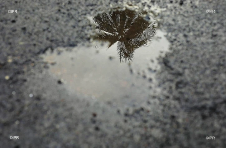 pluie 