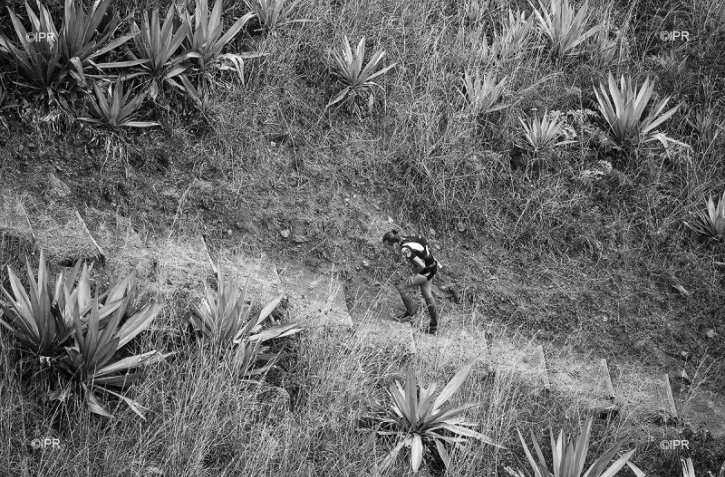 grand raid 2015