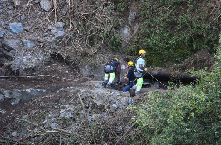 Canalisation des hirondelles