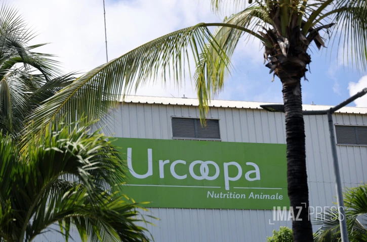 Crise à l’Urcoopa : Henri Lebon écarté, Terracoop dénonce un blocage des négociations URCOOPA