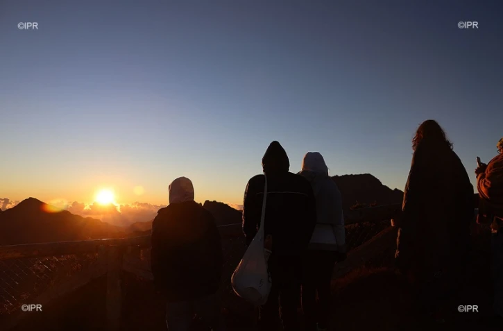 illustrations photos