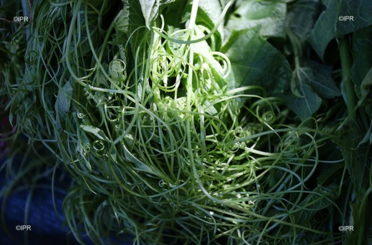 Marché forain du Port - jeudi 13 décembre 2018