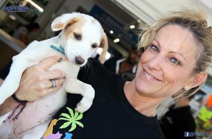 Chiens à l\'adoption - RPA