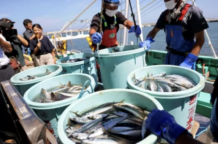 Des pêcheurs déchargent leur pêche au port de Matsukawaura, le 1er septembre 2023 à Soma, une semaine après que les eaux traitées de la centrale nucléaire de Fukushima Daiichi ont été rejetées dans l'océan ( JIJI Press / STR )