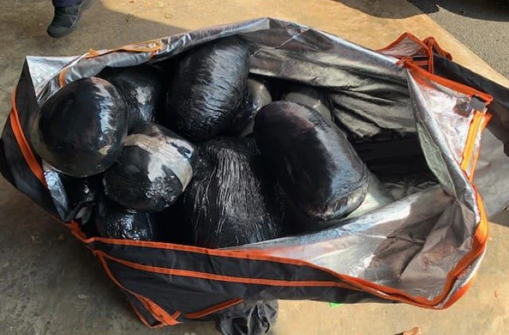 Un réseau démantelé entre La Réunion et Maurice : neuf interpellations et 225 kg de zamal saisis