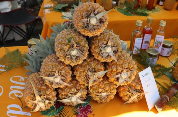 Saint-Benoit : un marché des producteurs tous les mercredis 