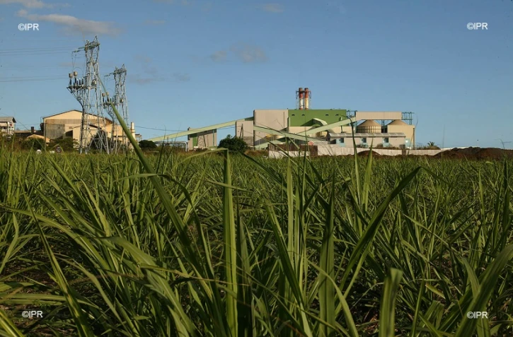 Centrale Thermique du Gol 