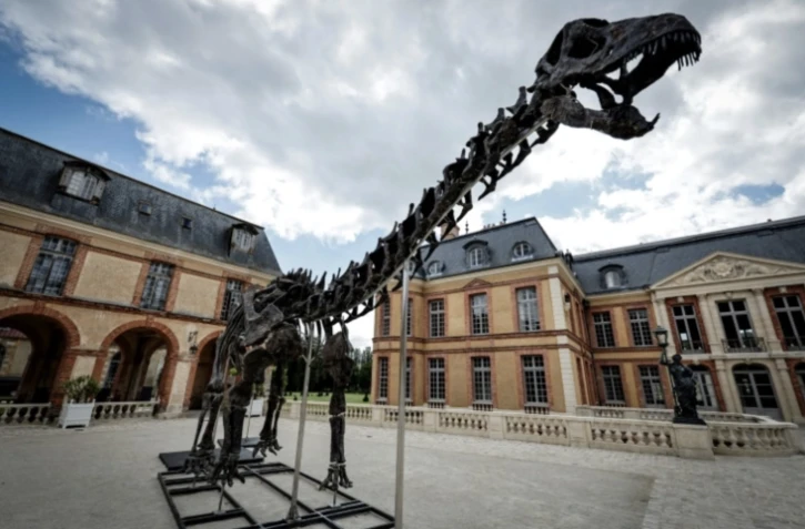 Le squelette de l'apatosaure surnommé Vulcain, présenté au château de Dampierre-en-Yvelines, dans les Yvelines, le 10 juillet 2024 ( AFP / STEPHANE DE SAKUTIN )