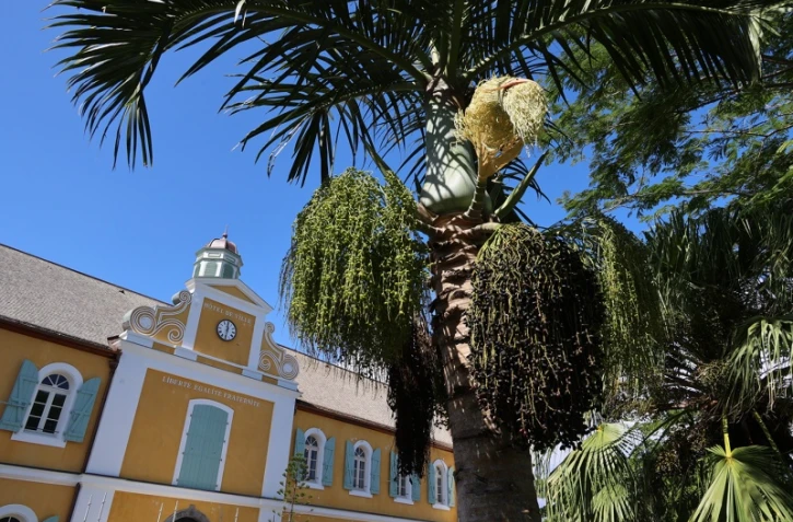 mairie de Saint-Pierre