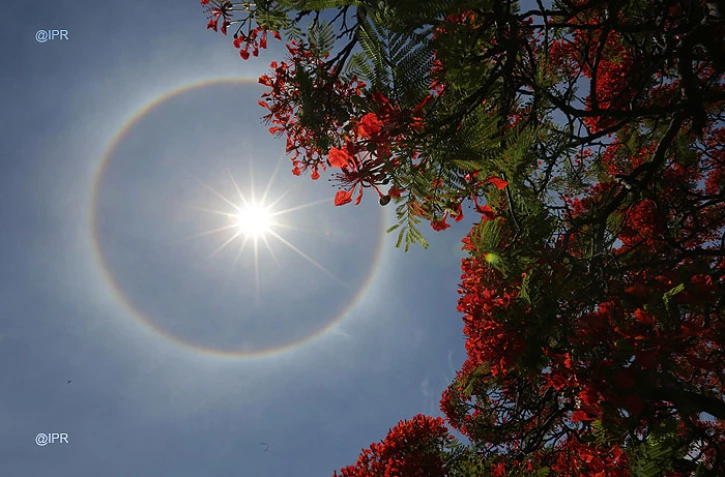 Halo