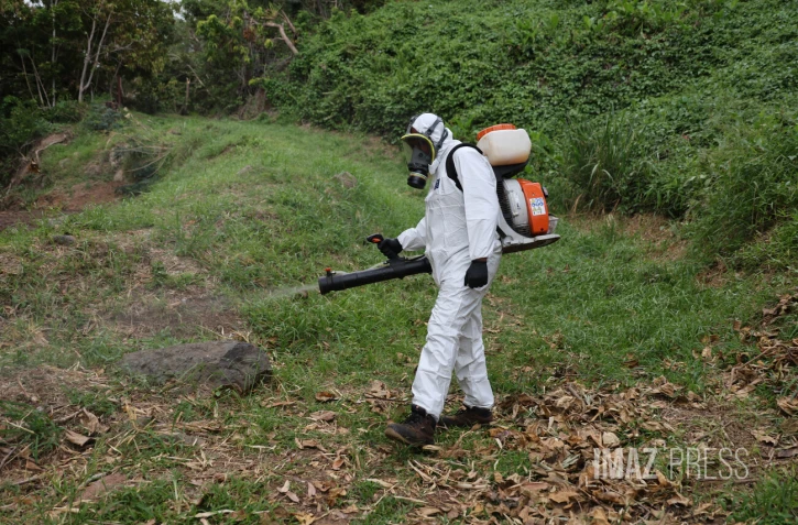démoustication chikungunya 