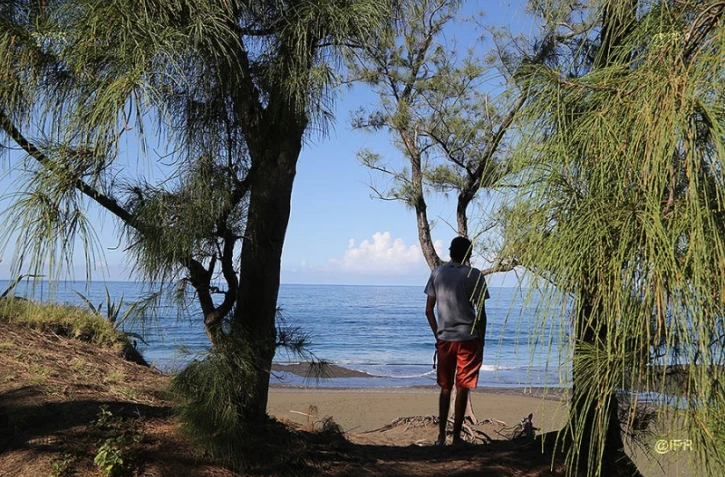 plage Etang- Salé