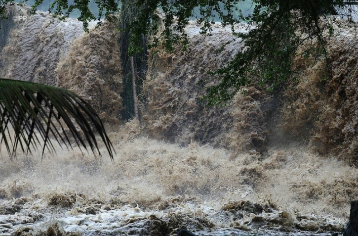 retour photo berguitta