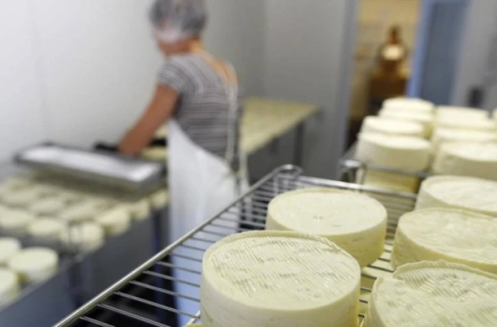 Douze Réunionnais vont faire du fromage dans le Cantal