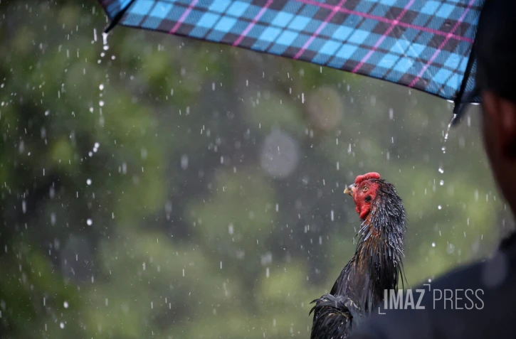 Pluie à Saint-Denis
