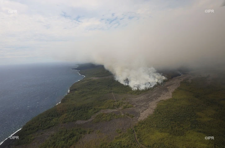 Incendie, Grand brûlé, Sainte-Rose, feu, végétation