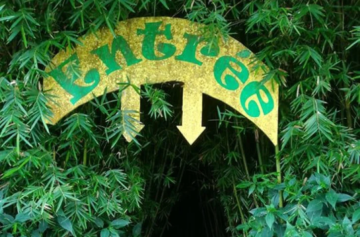 festival labyrinthe en champ thé