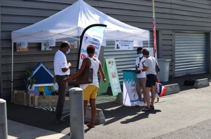 Trois-Bassins : des médiateurs sensibilisent à la stérilisation animale