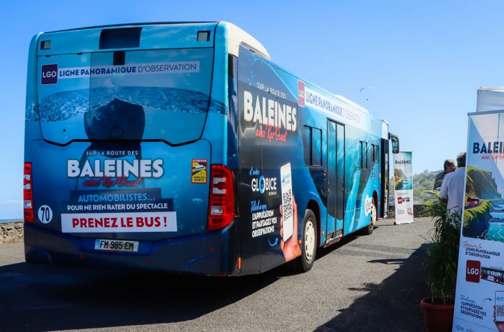 Le bus baleine : observation des cétacés le long de la côte ouest