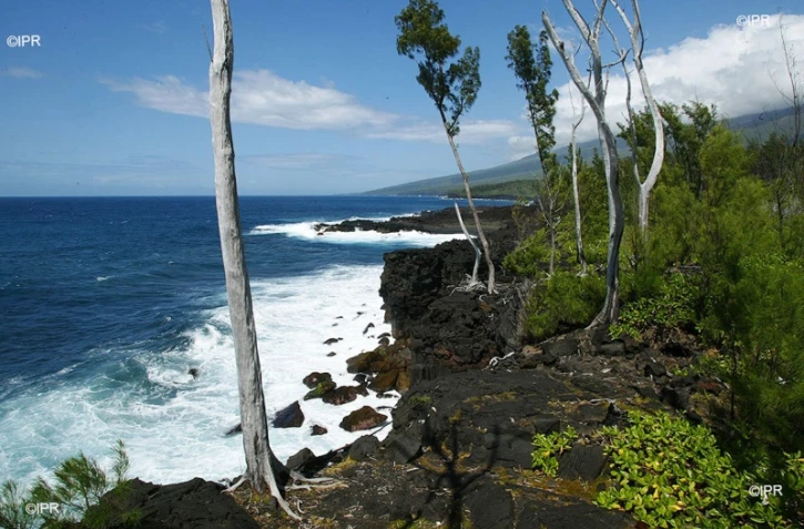 paysage de l'est 