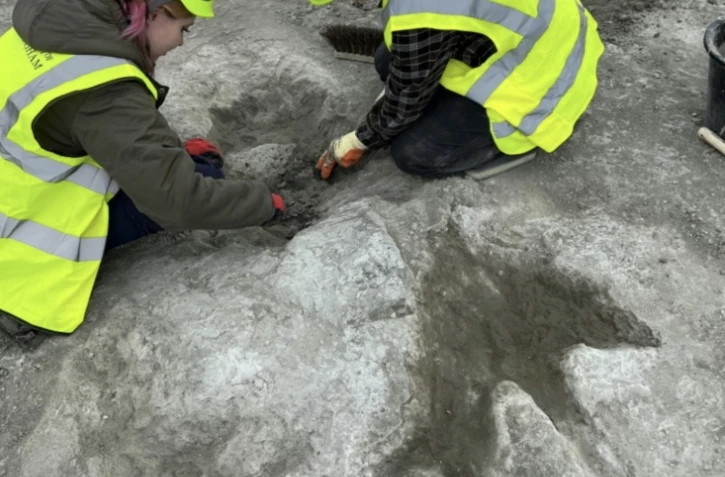 Photo des membres de l'équipe de fouilles travaillant sur les empreintes dans la carrière de Dewars Farm, dans le centre de l'Angleterre, le 17 juin 2024, publiée par l'Université d'histoire naturelle d'Oxford le 2 janvier 2025 ( Oxford University Museum of Natural History / Emma NICHOLLS )