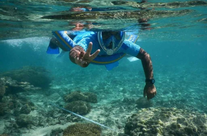 Des élèves de CM2 de Saint-Leu veillent sur leur aire maritime éducative.