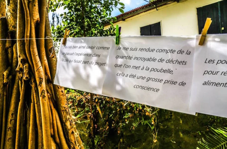 des poules pour réduire nos déchets TCO