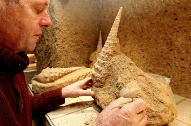 Patrice Legrand, viticulteur et propriétaire de la Cave aux coquillages, implantée dans le Parc naturel régional de la Montagne de Reims, à Fleury-la-Rivière, le 5 septembre 2016