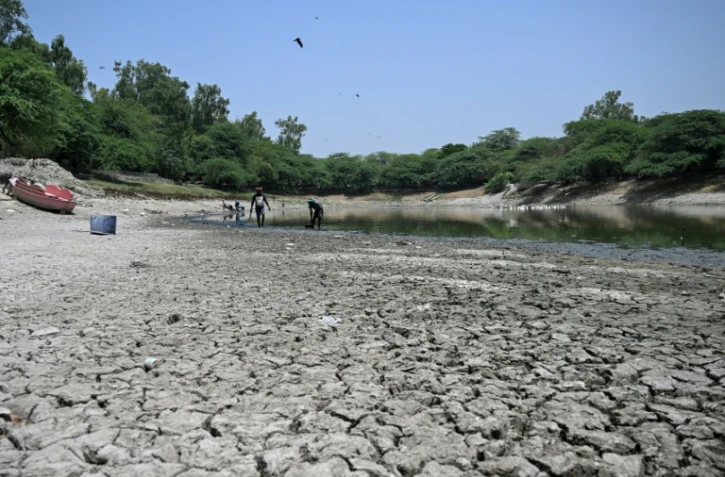Des personnes ramassent des poissons morts dans un lac partiellement asséché lors d'une vague de chaleur à New Delhi, le 22 mai 2026