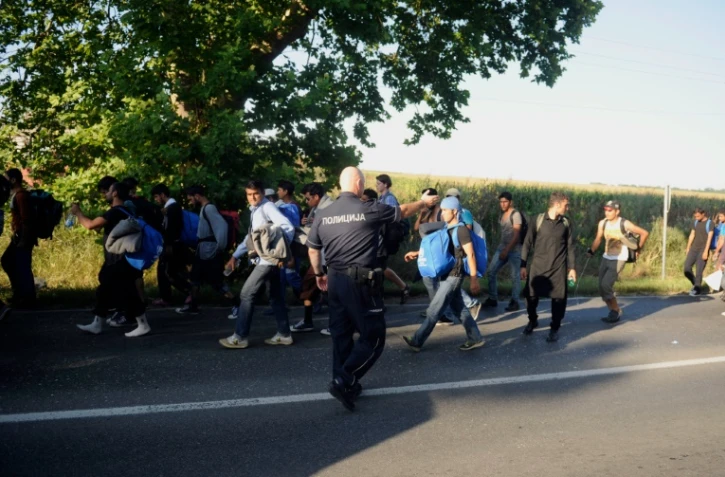 Des migrants marchent près de Belgrade, le 22 juillet 2016