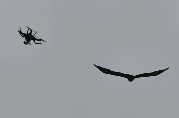 La police néerlandaise teste des aigles pour capturer des drones