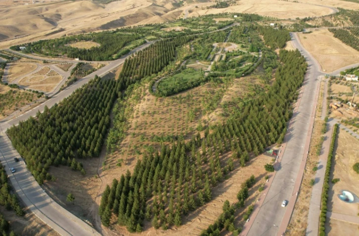 Une vue aérienne montre des arbres plantés dans le parc Hawary Shar, à Souleimaniyeh, de la région autonome du Kurdistan, dans le nord de l'Irak, le 10 juillet 2024