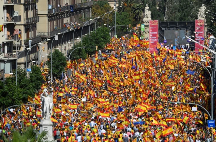 Les manifestants écoutent l'écrivain Mario Vargas Llosa lors d'un rassemblement à Barcelone en faveur de l'unité de l'Espagne le 8 octobre 2017