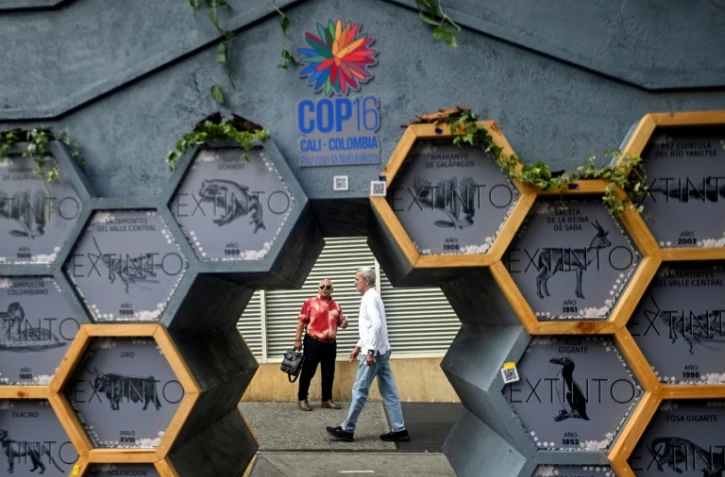 Des personnes passent devant une exposition d'espèces disparues dans la zone verte du sommet COP16 à Cali, en Colombie, le 28 octobre 2024.